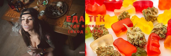 крисы Балахна