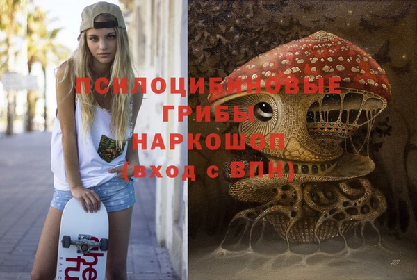крисы Балахна
