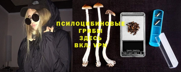 крисы Балахна